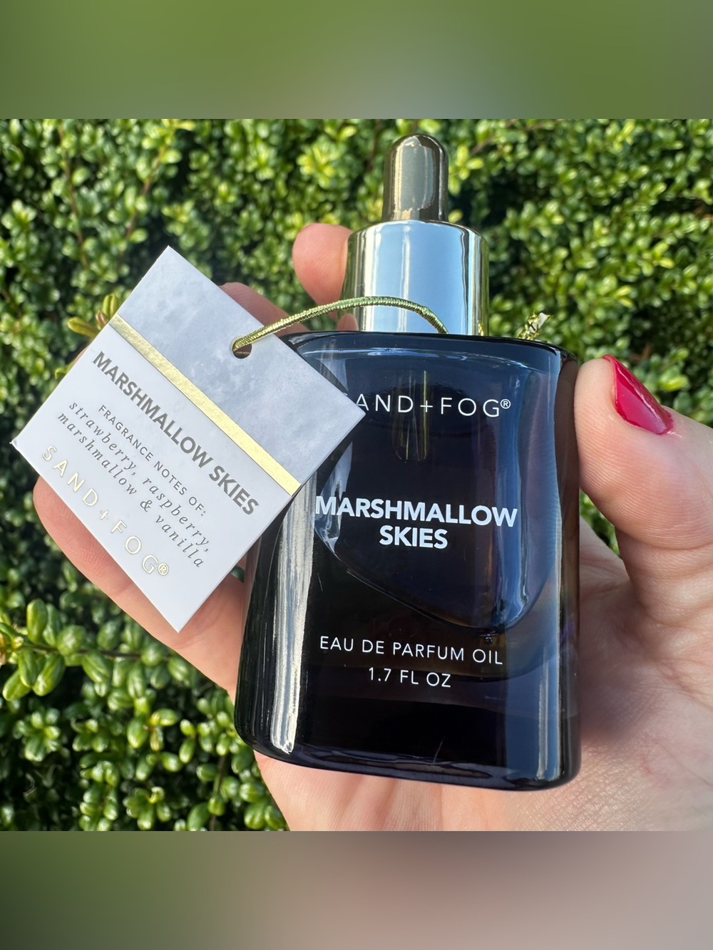 Sand + Fog - Marshmallow Skies Perfume Oil 1.7 oz